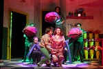 Little Shop of Horrors by Parkland College