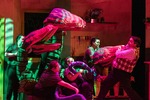 Little Shop of Horrors by Parkland College
